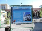 Aspecto del 2do. Festival para la conservación del parque nacional nevado de Colima