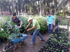 Donación de árboles para el municipio de Tuxpan, Jal.