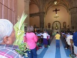 Misa de Bendición de Palmas en la Parroquia del Sagrario de Cd.Guzmán, Jal.