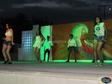 Aspecto del Día Internacional de la Danza 2015 en Cd.Guzmán, Jal.
