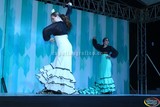 NOCHE FLAMENCA en el Festival Cultural Zapotlán 2015