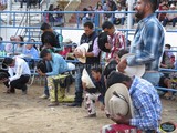 Aspecto de los Jaripeos en la Feria Zapotlán 2015
