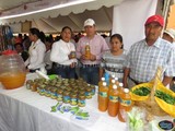 Fervor al Santo Niño y Alegría en la Feria de la Pitaya Amacueca 2016