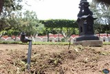 En progreso la rehabilitación del Jardín Principal en Zapotlán el Grande