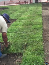 En progreso la rehabilitación del Jardín Principal en Zapotlán el Grande