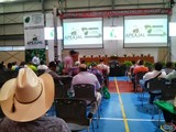 Aspecto de las CONFERENCIAS en el 4to. Congreso del Aguacate Jalisco 2016