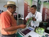 ÁREA DE EXPOSITORES en el 4to. Congreso del Aguacate Jalisco 2016