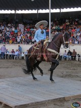 Calidad y Variedad en el CABALLO BAILDOR de la Feria Zapotlán 2016