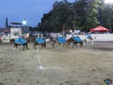 ASpecto del XXXIV Campeonato Nacional Charro Completo en la Feria de Todos los Santos Colima 2016