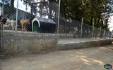 En Zapotlán, Concluye rehabilitación del Centro de Salud Animal