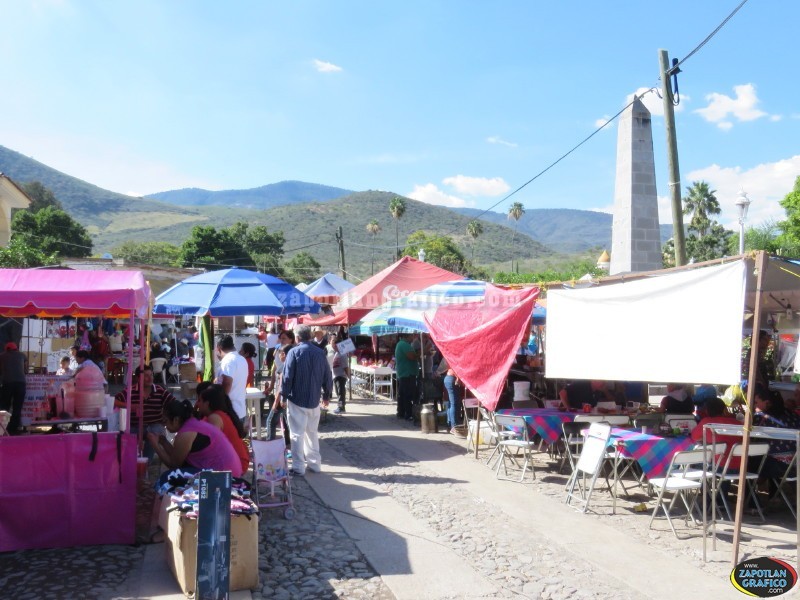 Motivos GUADALUPANOS en el Sur de Jalisco 2016