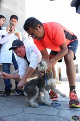 Arranca campaña de Vacunación Antirrábica Canina y Felina 2017 en Zapotlán El Grande