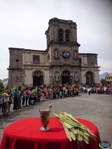 Celebrando Domingo de Ramos con la Bendición de Palmas en la Catedral de Cd. Guzmán, Jal.