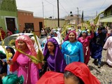Procesión de Palmas en el barrio de San Cayetano, al inicio de la Semana Santa 2017