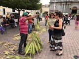 Domingo de Ramos en el Pueblo de la Fiesta Eterna Tuxpan, Jalisco 2017