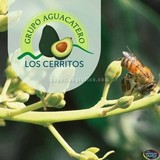Las Mejores Marcas participando en la Expo Agrícola Jalisco 2017