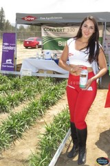 Atractivo Visual en la Expo Agrícola Jalisco 2017