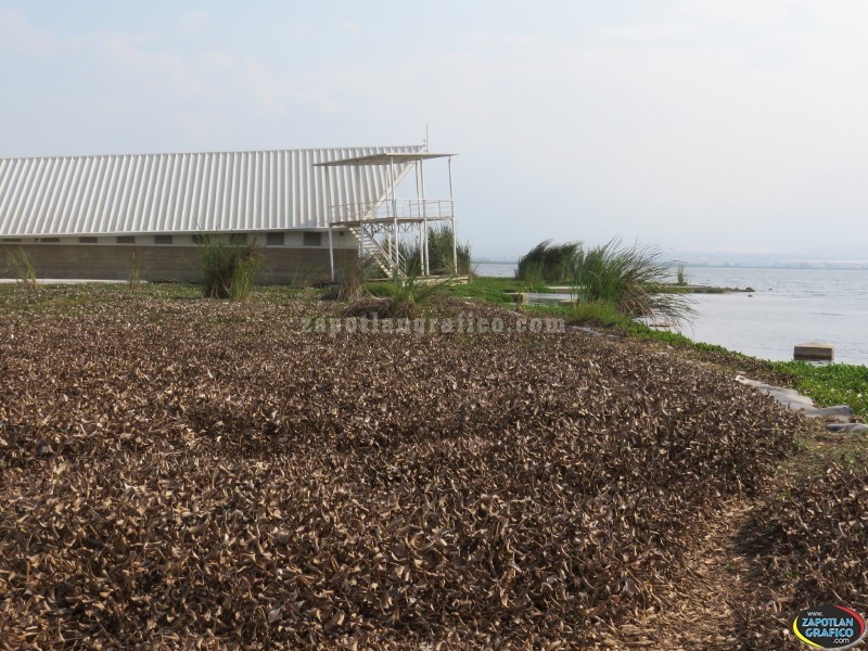 Se gestiona importante inversión para el Rescate de la Laguna de Zapotlán
