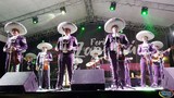 Salsa Show y Mariachi Nuevo Tecalitlan