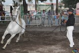 ASPECTOS GENERALES en la Feria de Todos los Santos Colima 2017