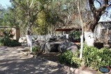 Personal de parques y jardines y del programa “Mano con Mano” realiza trabajos de limpieza general en el Parque El Salvial de Zapotiltic