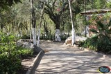 Personal de parques y jardines y del programa “Mano con Mano” realiza trabajos de limpieza general en el Parque El Salvial de Zapotiltic