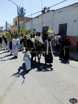 Aspectos del Domingo de Ramos en el Sur de Jalisco 2018