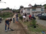 Vecinos de la Colonia Lomas de Solidaridad se sumaron a la Reforestación en Zapotlán
