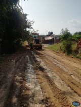 Continúan los trabajos de rehabilitación de caminos en todo el municipio de Tamazula
