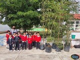 Donan árboles al Preescolar “Benito Juárez”