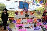 Concurso de Altares de Muertos entre Escuelas de Zapotiltic, Jal.